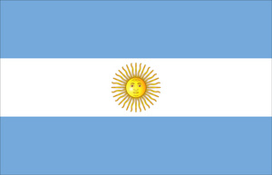 Official Flag of Argentina, Government