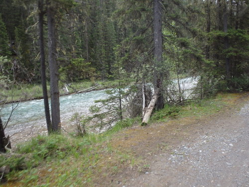 GDMBR: Spray River - Note the blue-green  color comes from Glacier Silt.