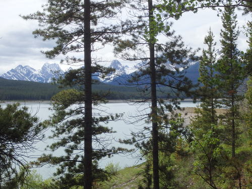 GDMBR: View across Spray Lake.