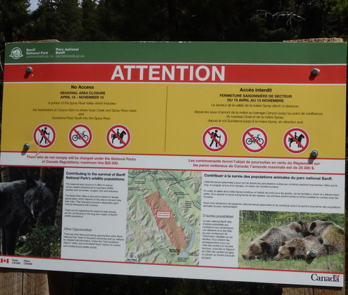 GDMBR: Wildlife Sanctuary for Wolf and Gizley Bear Protection.
