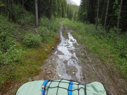 GDMBR: We have reached the upland terrain just above Spray Lake, it's Boggy.