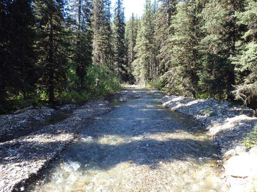 GDMBR: Looking up the creek.
