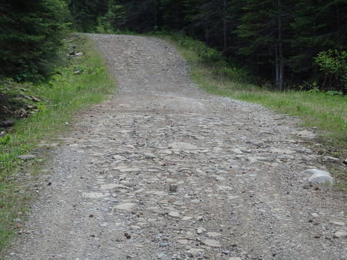GDMBR: Typical road.