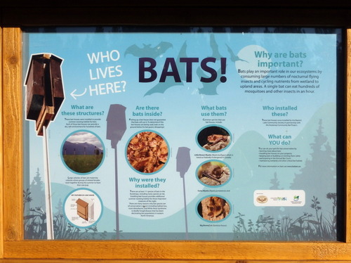 GDMBR: Community Bat Preservation Program.