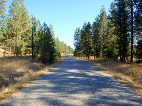 GDMBR: Cycling east toward BC Hwy-93.
