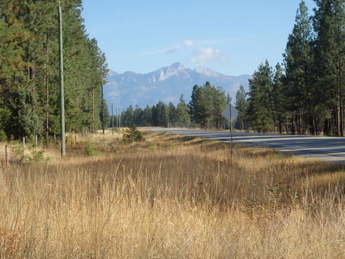 GDMBR: Cycling east toward BC Hwy-93.