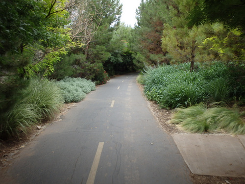 Cycling through a bicycle pathway in Santa Clara.