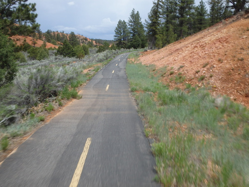 Bike Path through Dixie National Forest.