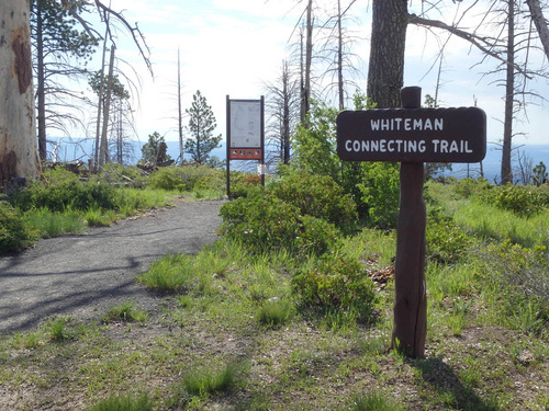 Whiteman Connecting Trail access.