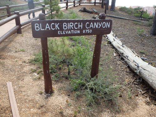 Black Birch Canyon overlook.
