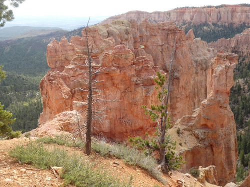 A view from Black Birch Canyon overlook.