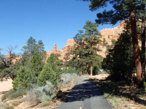 The Red Canyon area of Dixie National Forest.