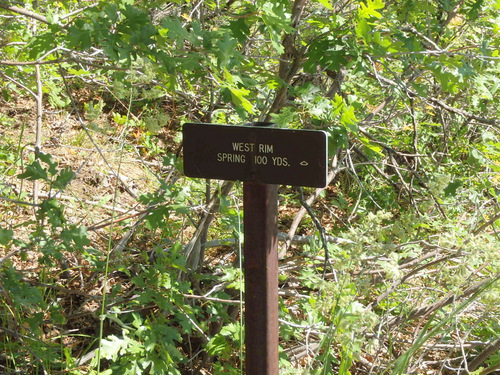West Rim Trail.