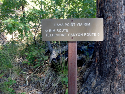 West Rim Trail.