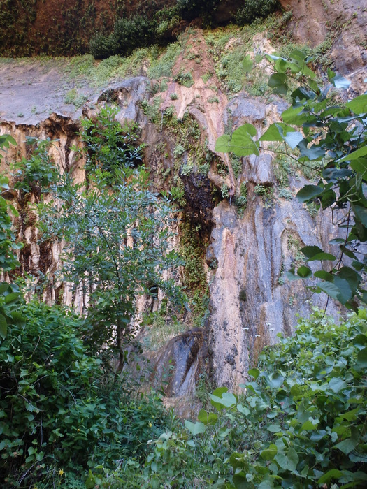 The Weeping Rock.