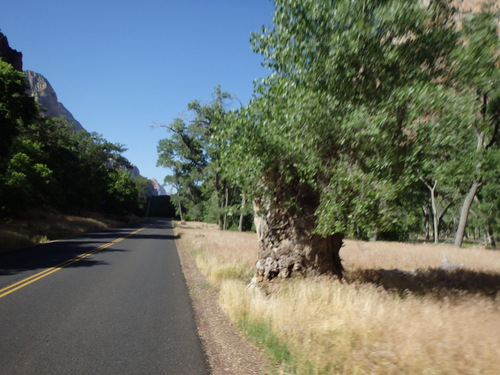 Cycling through Zion NP's Virgin Valley.