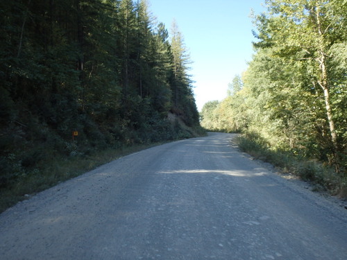 GDMBR: Heading west and still climbing on the Lodgepole River Road.