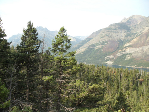 A view of Middle Waterton Lake.