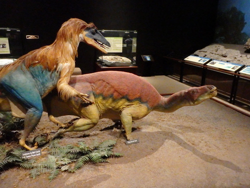 Outside of the Tenontosaurus and Deinoychus.