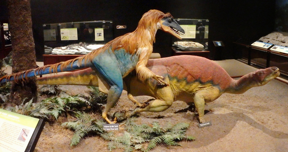 Tenontosaurus (Herbivore) and Deinoychus (Carnivore).