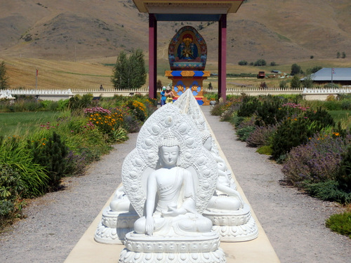 One-Thousand Buddhas.