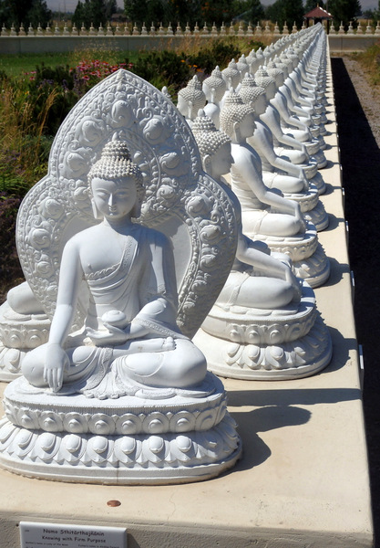 One-Thousand Buddhas.