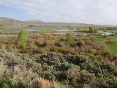 The Colorado River.