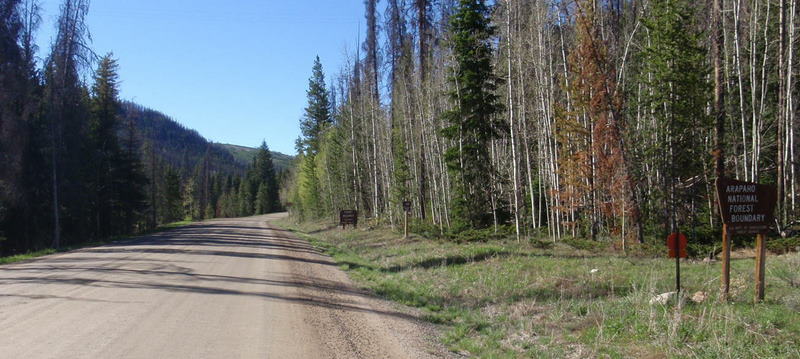 Entering Arapaho National Forest.