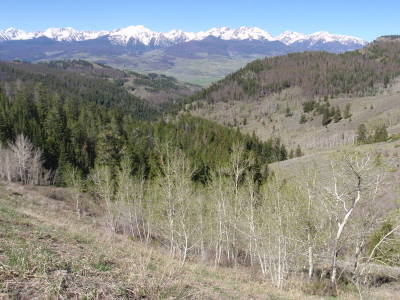 High altitude view, near Ute Pass.