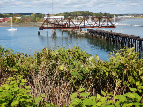The old railroad turn-bridge sits permanently open for boat traffic.