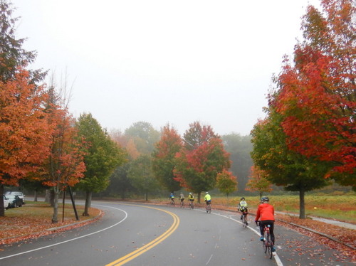 We rode 100 yards/meters and we were already in beautiful Fall Foliage.