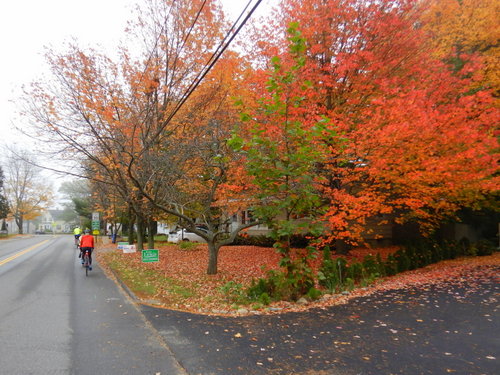 Magnificent fall colors.