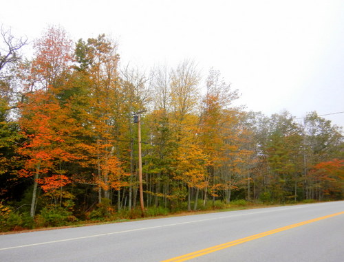 Autumn in Maine.