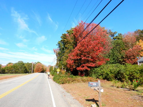 Autumn in Maine.