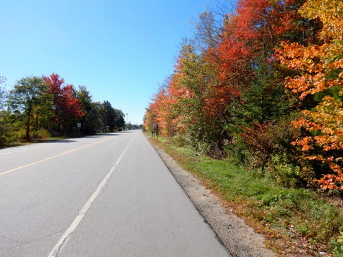 A strip of Fall Foliage on the NH coastline.