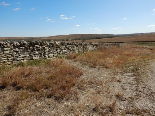 Old unmaintained stone fence.