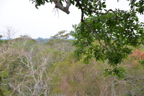 Corto Maltes Amazonia Ecolodge.