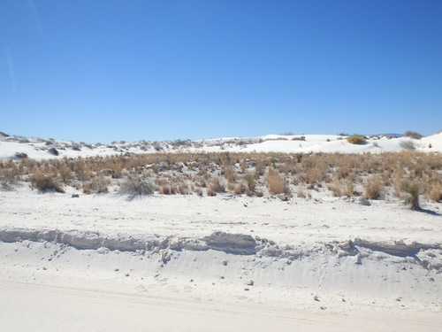 White Sands, NM: Cycling out on the sand.
