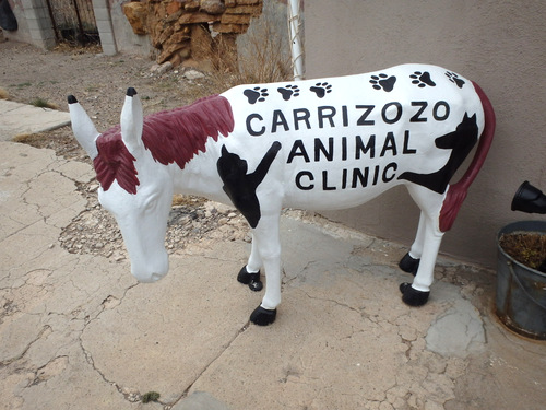 Burro #14 is sponsored by the local Veterinarian.