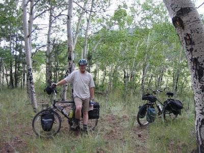 Lunch in an Aspen grove.