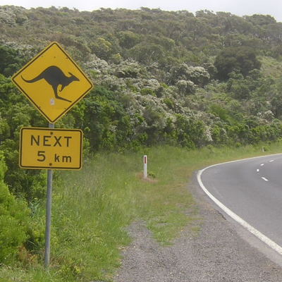 Kangaroo Sign, Southern Australia.