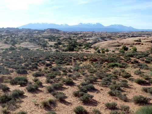 Abajo Mountains and petrified sand dunes, Arches NP, UT.