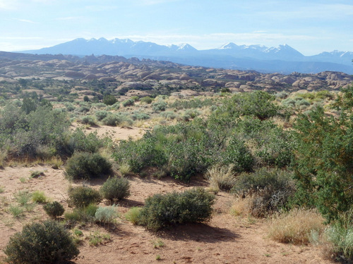 About Petrified Sand Dunes, Arches NP, UT, by Tandem Bicycle.