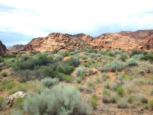 Tandem Bike Tour, Snow Canyon, UT.