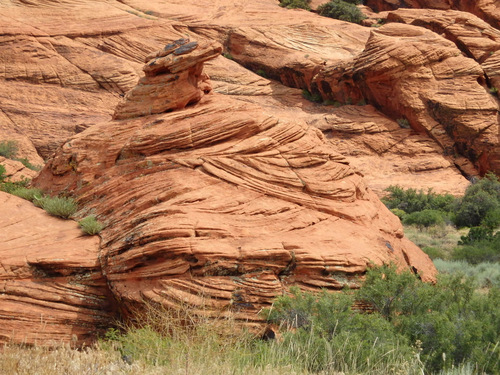 Tandem Bike Tour, Snow Canyon, UT.