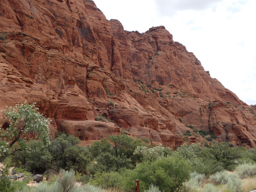 Tandem Bike Tour, Snow Canyon, UT.