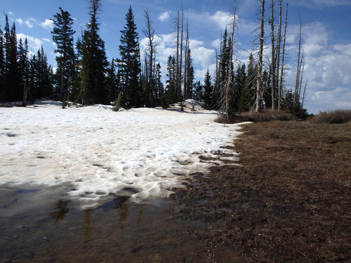 There were wet spots on the road and it was soggy  off the road.