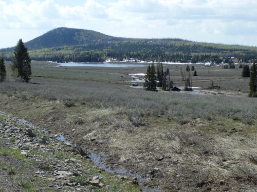 A large meadow with a small lake.