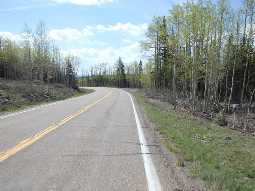 Generally heading southeast on UT-143, Dixie NF.