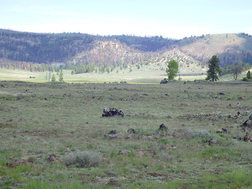 Generally cycling southeast on UT-143, Dixie NF.